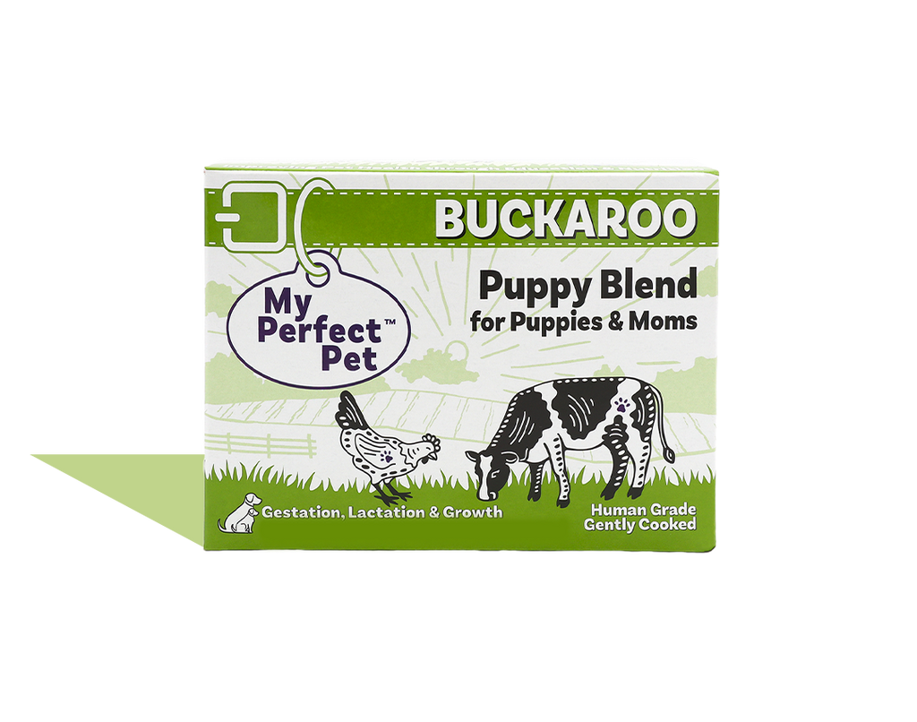 Chicken for Puppies - 14 bars for 1-week trial, then 42 bars every 3 weeks