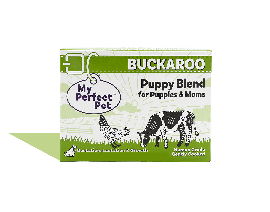 Chicken for Puppies - 14 bars for 1-week trial, then 42 bars every 3 weeks