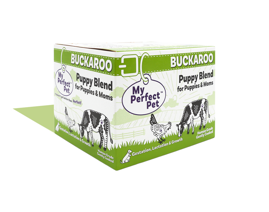 Chicken for Puppies - 14 bars for 1-week trial, then 42 bars every 3 weeks