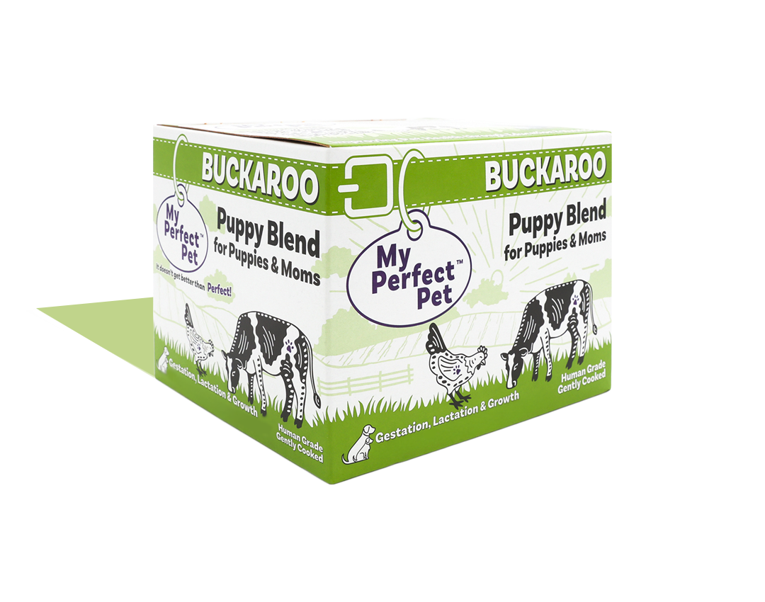 Chicken for Puppies - 14 bars for 1-week trial, then 42 bars every 3 weeks