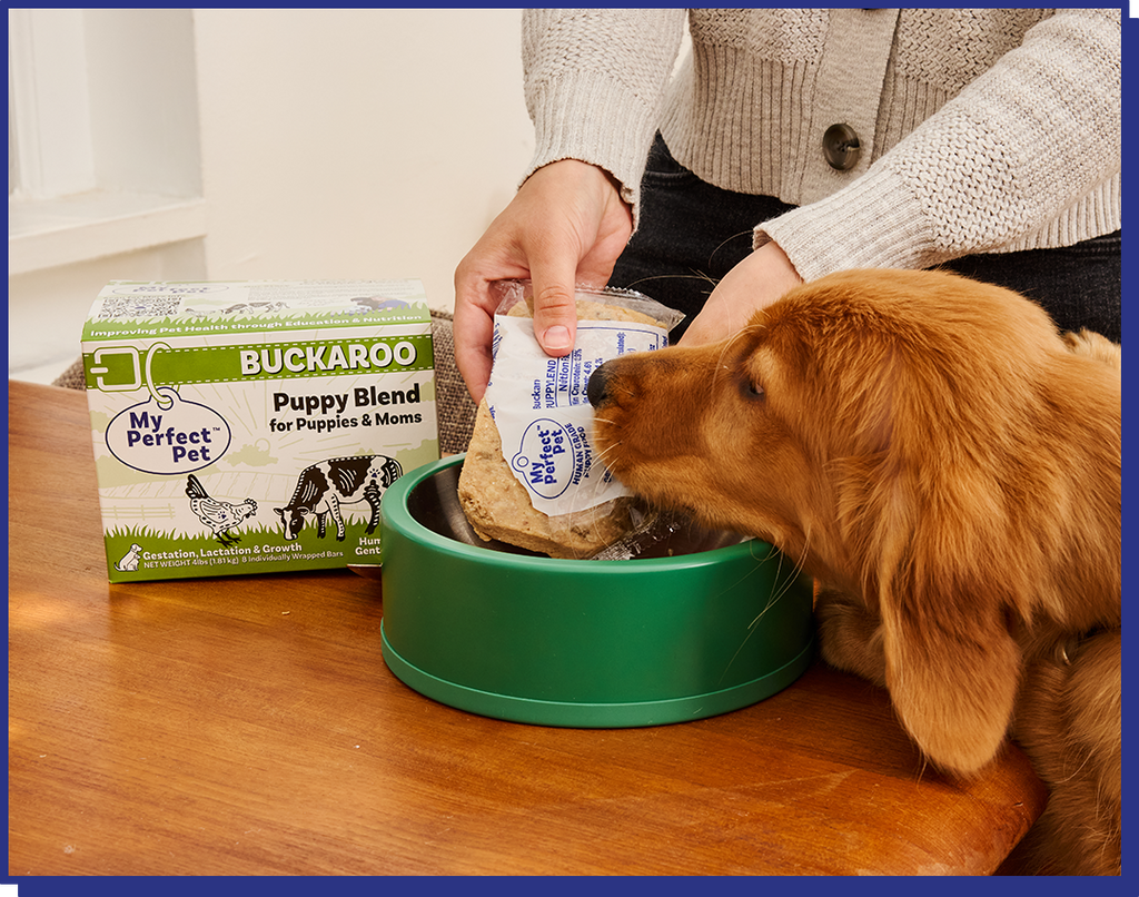 Chicken for Puppies - 14 bars for 1-week trial, then 42 bars every 3 weeks