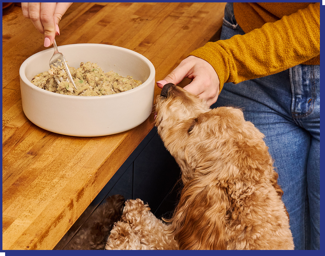 Glycemic Friendly Chicken Grain Free Blend - 14 bars for 2-week trial, then 42 bars every 6 weeks