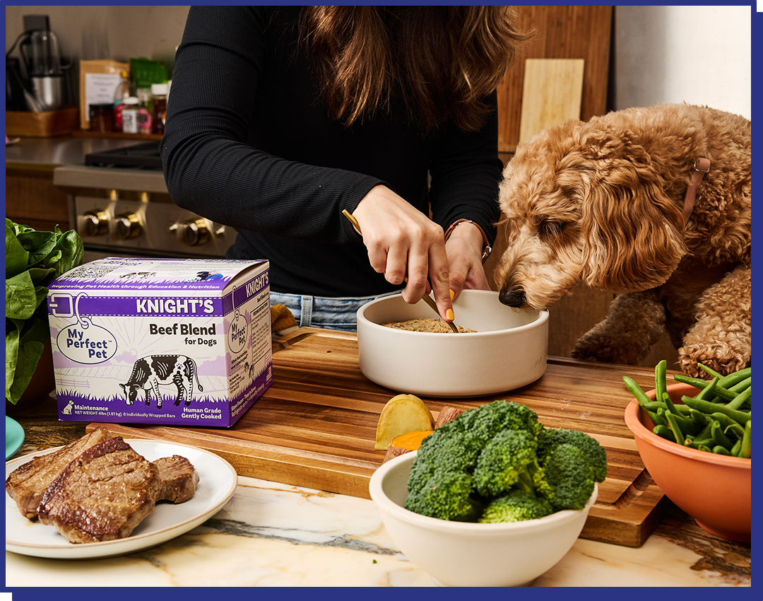 Beef Grain Free Blend - 14 bars for 2-week trial, then 42 bars every 6 weeks