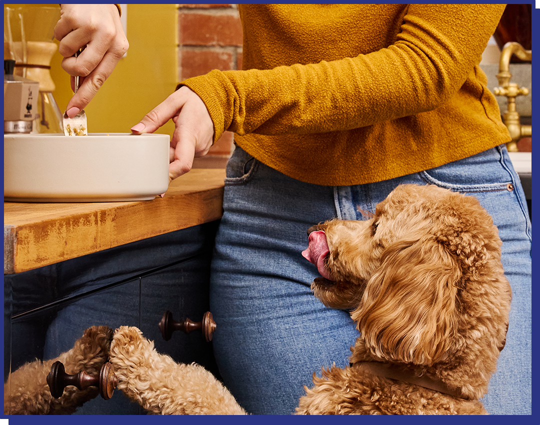 Lamb and Rice Blend - 14 bars for 2-week trial, then 42 bars every 6 weeks