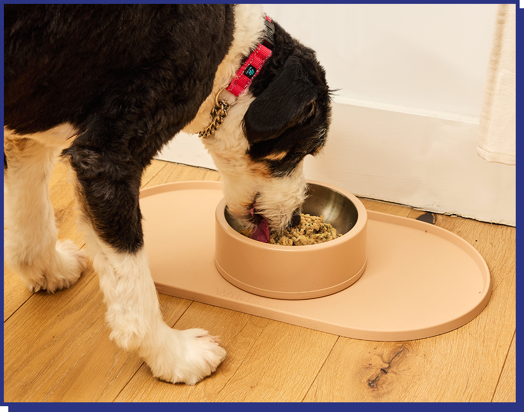 Pork Blend - 14 bars for 2-week trial, then 42 bars every 6 weeks