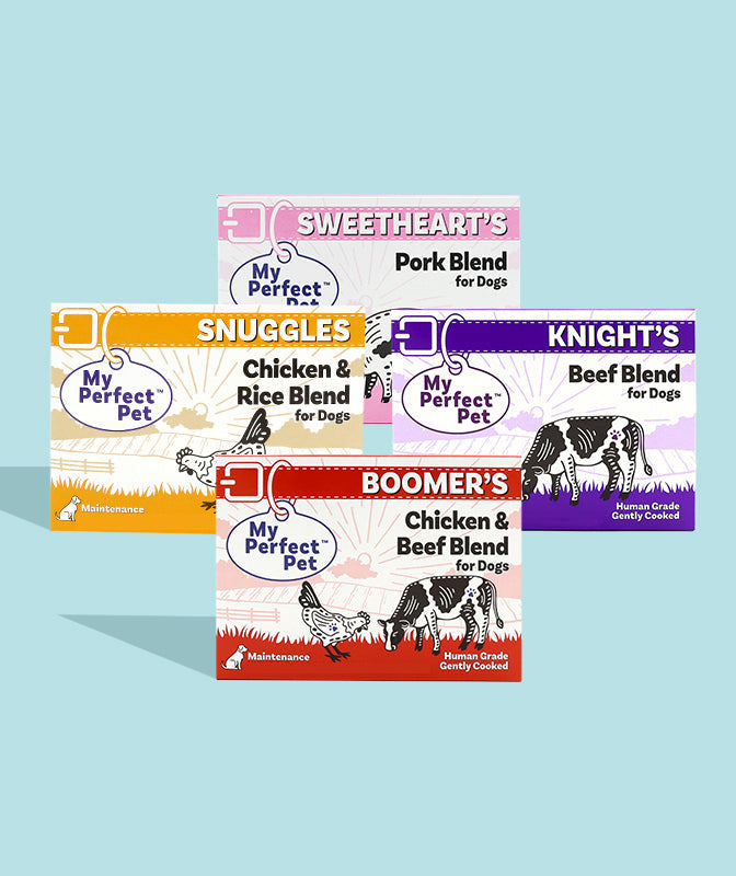 Sampler Pack 14 bars for 2-week trial, then 42 bars every 6 weeks