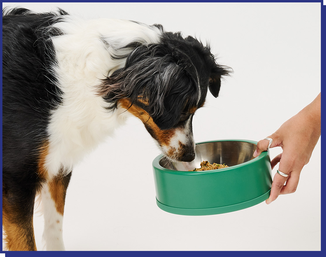 Pork Grain Free Blend - 14 bars for 2-week trial, then 42 bars every 6 weeks